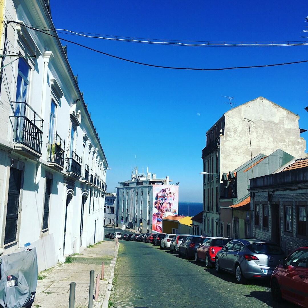 Modern cars parked along a palm lined avenue in Punta del Este